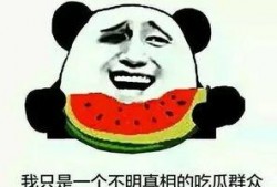 吃瓜群众评论演员,演员演技大比拼，谁才是真正的实力派？