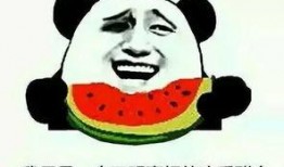 吃瓜群众评论演员,演员演技大比拼，谁才是真正的实力派？