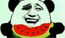 吃瓜没吃,揭秘“吃瓜没吃”背后的真相与争议