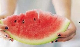 带你吃瓜 拍照,一场别开生面的拍照盛宴