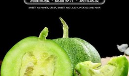 惠吃瓜,揭秘美食背后的故事与传奇