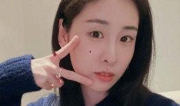 吃瓜陈曦,揭秘娱乐圈背后的故事与真相