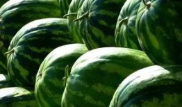 吃瓜有赏,揭秘娱乐圈幕后故事