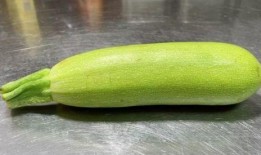 葫芦瓜可以常吃吗,家常菜中的常客，健康饮食的佳选