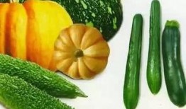 吃瓜李的作品,揭秘娱乐圈幕后真相的麻辣观察家