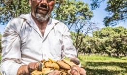 路上吃哈密瓜,哈密瓜的甜蜜诱惑