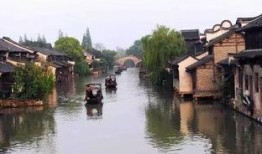 乌镇吃瓜事件始末,一场网络狂欢背后的真相与反思