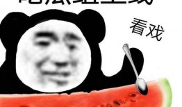 沙雕表情吃瓜,揭秘网络热梗背后的趣味与争议