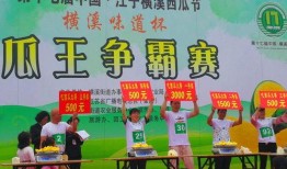 吃瓜比赛总结,舌尖上的欢乐与智慧对决