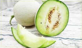 夏日写真吃瓜,吃瓜群众的欢乐时光