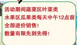 吃瓜比赛总结,舌尖上的欢乐与智慧对决