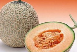 小臭鼬吃哈密瓜,小臭鼬的哈密瓜盛宴之旅