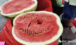 看瓜别吃瓜,品鉴瓜界风云，不沾瓜田是非