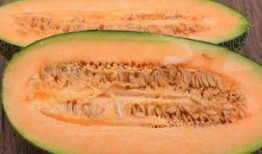 吃哈密瓜后牙疼,揭秘吃瓜后牙疼的真相