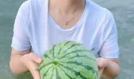 真吃瓜美簪花,揭秘娱乐圈的美丽与争议