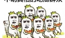 带你吃瓜体能训练,揭秘体能训练的趣味与科学