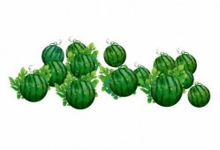 阿瓜怎么吃,解锁各种美味吃法