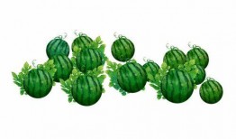 阿瓜怎么吃,解锁各种美味吃法