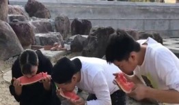 比赛吃瓜拿钱,一场别开生面的趣味竞技盛宴