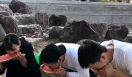 比赛吃瓜拿钱,一场别开生面的趣味竞技盛宴