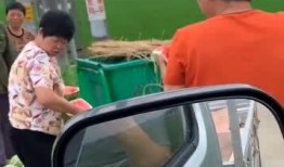 吃瓜扔垃圾,文明扔垃圾，共建美好家园