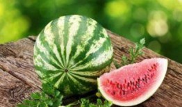 吃牛腿瓜长胖,揭秘吃瓜长胖的秘密