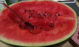 吃瓜恶心事,那些令人作呕的吃瓜恶心事