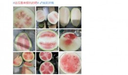 吃瓜投稿稿,一场全民参与的娱乐盛宴