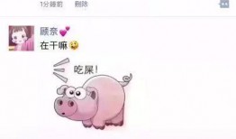 抖音猪猪吃瓜,萌态十足引网友爆笑