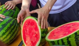 吃瓜视频免,轻松获取热门资讯的免生成神器