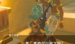 塞尔达 围墙上吃瓜,围墙上瓜香四溢，探寻神秘古文明之谜