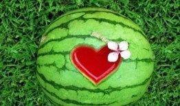 家长花式吃瓜各显神通,各显神通，揭秘家庭教育新潮流