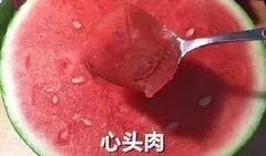 吃瓜网54,带你走进网络舆论的神秘世界