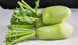 生吃萝卜熟吃瓜,生熟各异，养生之道尽在其中