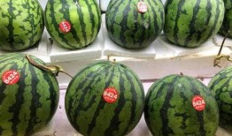 7组吃瓜,揭秘娱乐圈的七宗“瓜”