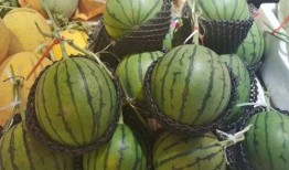 吴阳吃瓜,揭秘娱乐圈幕后故事