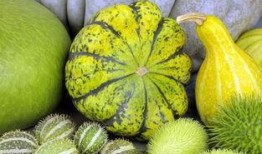 冻茭瓜怎么吃,解锁美味新体验