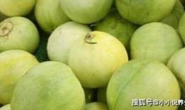 冬天的瓜一个接一个吃,一瓜接一瓜的甜蜜享受