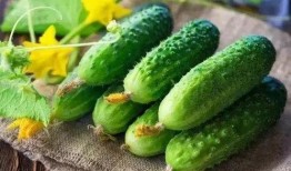 吃瓜刀乐,揭秘娱乐圈背后的那些事儿