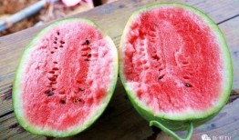 有红瓜西瓜吃吗,揭秘红瓜西瓜的独特风味