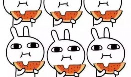 吃瓜了什么音乐,吃瓜了！揭秘热门音乐背后的故事与魅力