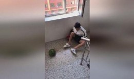 路上买瓜吃视频,瓜农现场展示新鲜美味瓜果