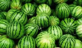 942412吃瓜群,一场网络热议背后的真相