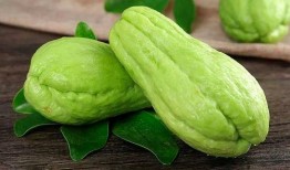 吃瓜姜,揭秘美食背后的故事与传奇