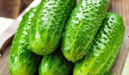 吃瓜傻瓜黄瓜,揭秘夏日消暑美食背后的趣味故事